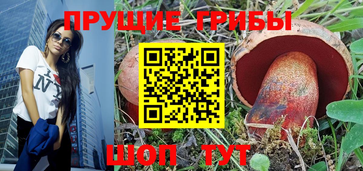 Галлюциногенные грибы Cubensis Тосно